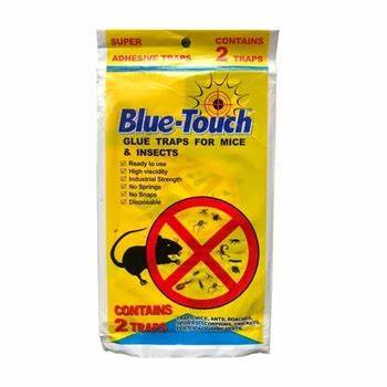 Jumbo Blue Touch Trampa De Pegamento Rata Azul 2ud